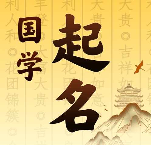 澄江国学起名 人工起名一对一